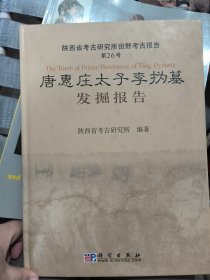 唐惠庄太子李沩墓发掘报告：陕西省考古研究所田野考古报告第26号