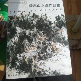 中国书画名家精品收藏集:杨志山水画作品集，正版大16开