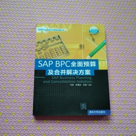 SAP企业信息化与最佳实践丛书：SAP BPC全面预算及合并解决方案