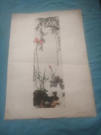 老年画，荷花，潘天寿，1962年一版一印，尺寸长：53cm，宽：38cm