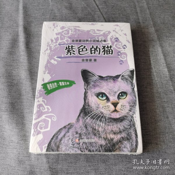 紫色的猫