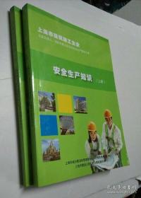 上海市建筑施工企业主要负责人、项目负责人和专职安全生产管理人员:安全生产知识（上下册）大16开