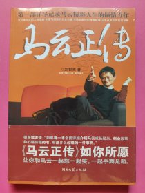 马云正传