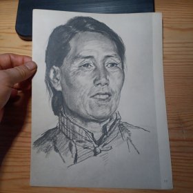 16开人物素描散页画一张