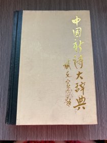 中国新诗大辞典 精装