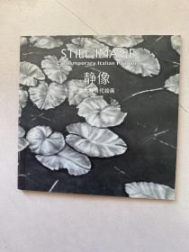 STILL IMAGE静像 意大利当代绘画