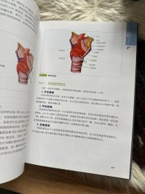 面部密码：肉毒毒素注射手册