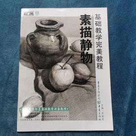 基础教学完美教程——素描静物 李家友  重庆出版社