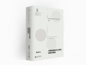 中国的新型正义体系：实践与理论（实践社会科学与中国研究·卷二）