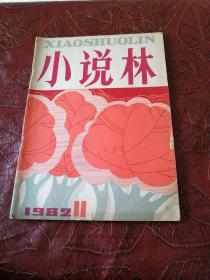 小说林1982年第11期