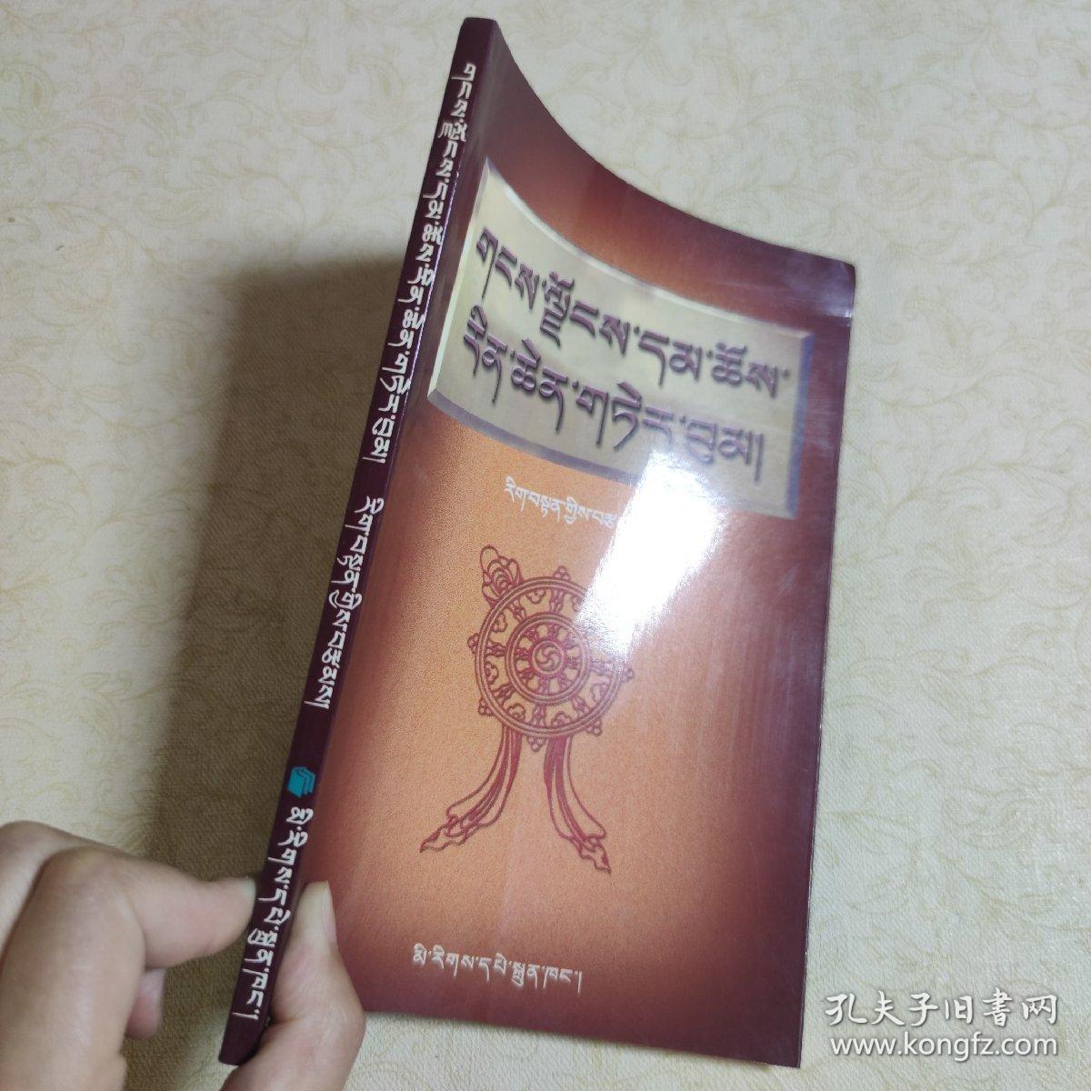 雪域佛理常识:[藏文]