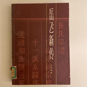 岳飞新传