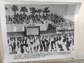新闻展览照片:1956年第八次全国代表大会上宣布社会主义已经基本建立(毛主席，刘少奇，朱德、周总理，陈云，邓小平等举手表决，陈云做报告)