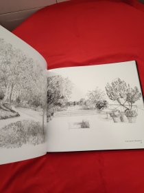 Landscape Drawings Tom Stuart-Smith Ltd