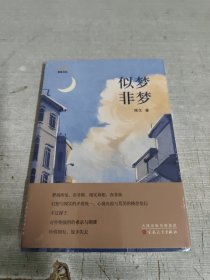 似梦非梦/苏电文丛