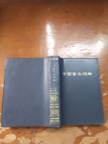 中国育乐词典