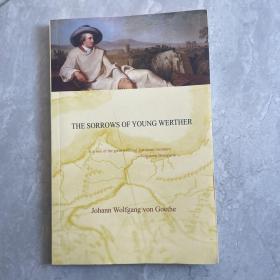 the sorrows of young werther