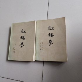 红楼梦 中下