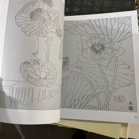 荷花百态 实用白描画稿