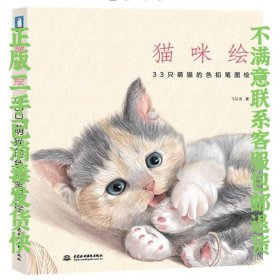 猫咪绘-33只萌猫的色铅笔图绘 飞乐鸟 中国水利水电