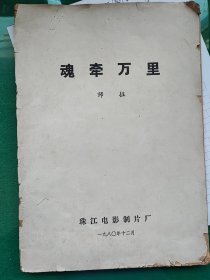 魂牵万里