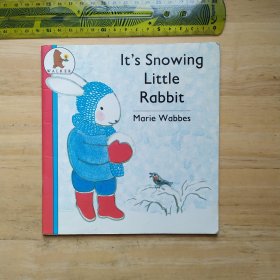 It's Snowing Little Rabbit