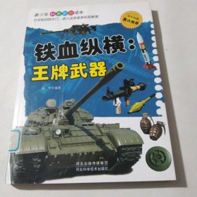 铁血纵横 : 王牌武器