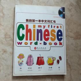 我的第一本中文词汇书