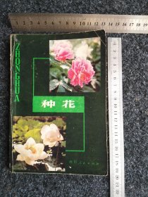 种花（修订本）