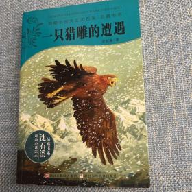 动物小说大王沈石溪·品藏书系·一只猎雕的遭遇