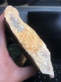 种植 奇楠香木料