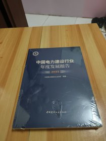 中国电力建设行业年度发展报告2023