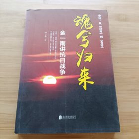 魂兮归来：金一南讲抗日战争