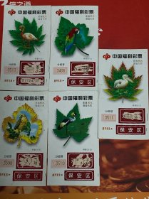 中国福利彩票 一套5张