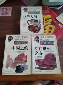 梦在世纪之交