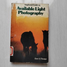 [英文原版] Amphoto Guide to Available Light Photography. /The Amphoto Guide Series（Amphoto自然光拍摄指南（插图本）/Amphoto指南系列）