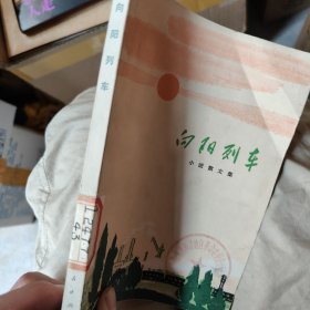向阳列车(小说、散文集)