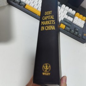 中国的借入资本市场Debt Capital Markets in China