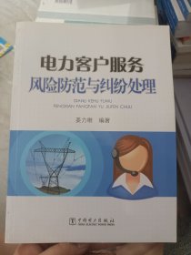 供电企业常见法律风险防范与处理丛书 电力客户服务风险防范与纠纷处理