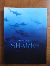 Michael Muller :Sharks 迈克尔·穆勒：鲨鱼