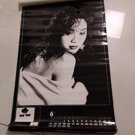 1994年挂历黑与白13张全