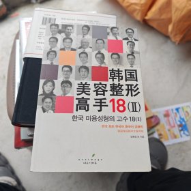 韩国美容整形高手18（ll）（中韩双语）