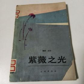 紫薇之光
