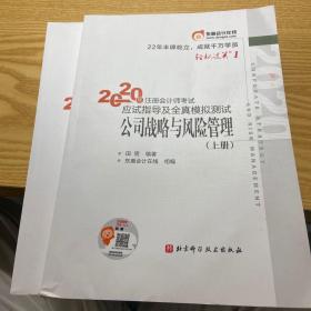 轻松过关1 2020年注册会计师考试应试指导及全真模拟测试 公司战略与风险管理