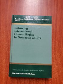 enforcing international human rights in domestic courts