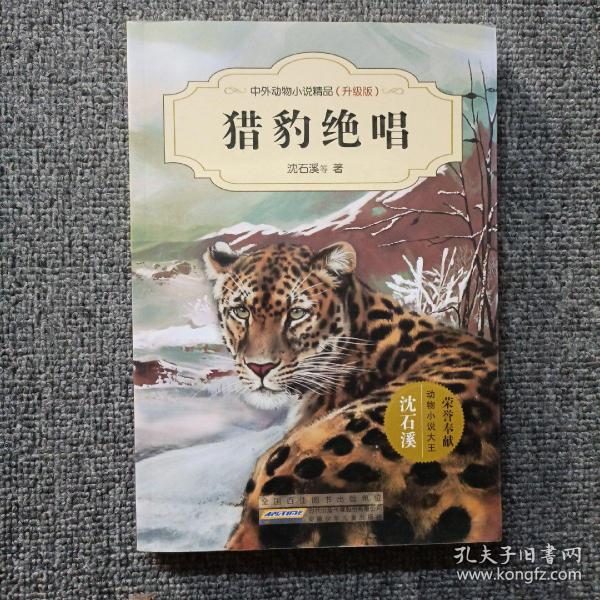 中外动物小说精品（升级版）：猎豹绝唱