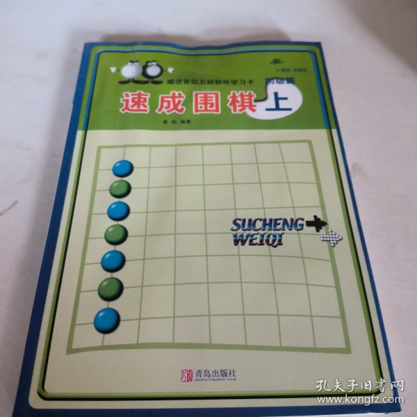 初级篇-速成围棋(上)