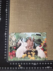 《1987，兔，年历卡》（日本制造，上海公司，塑料卡，只有轻度立体效果/欧亚航线 船务公司新年贺卡年历卡/自然老旧状态/实图自鉴/尺寸14.5*10.4厘米）