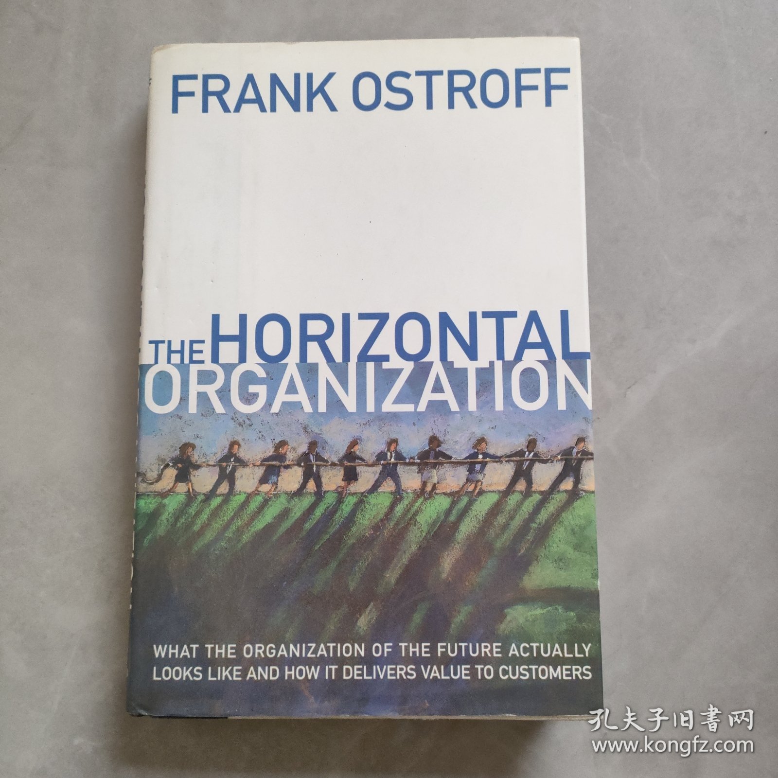 THE HORIZONTAL ORGANIZATION 横向组织