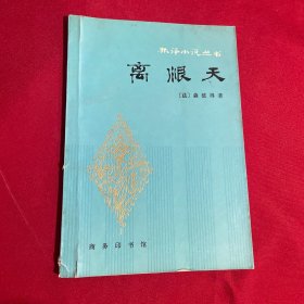 离恨天（林译小说丛书）